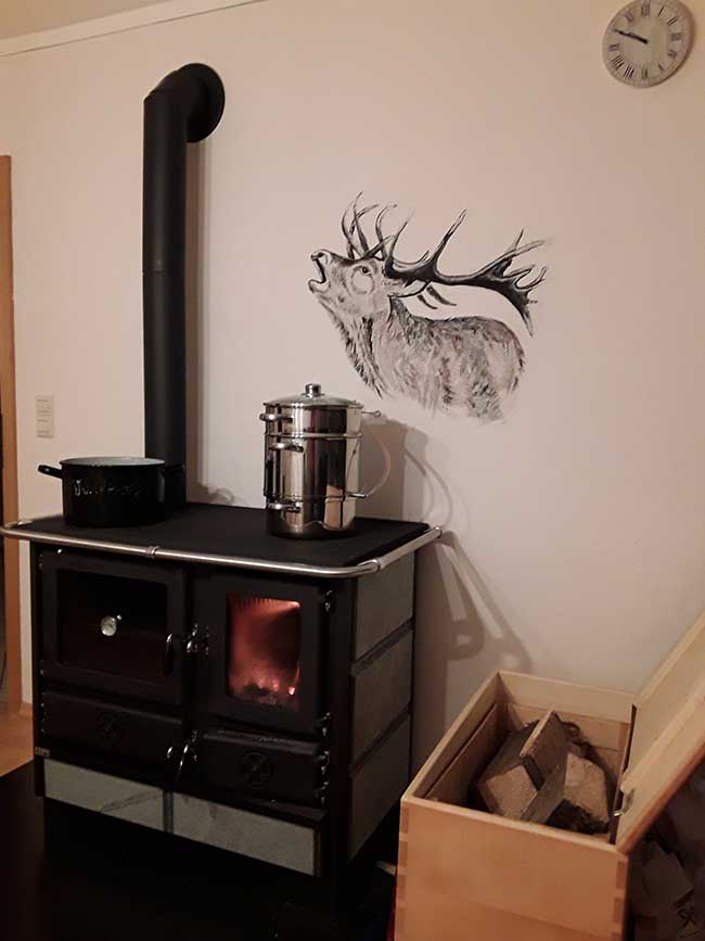 Rustikaler Küchenofen mit Speckstein in einem Wohnzimmer
